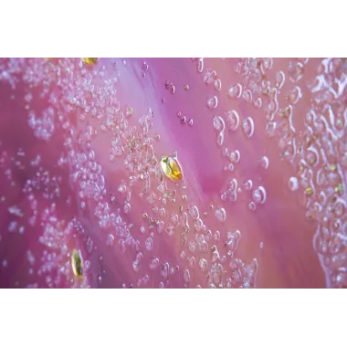 DRUK NA PŁÓTNIE Z APLIKACJAMI -A- FLAMINGO 80X3,8X120 cm